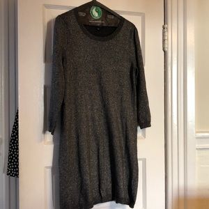 Sweater dress sparkly from Banana Republic